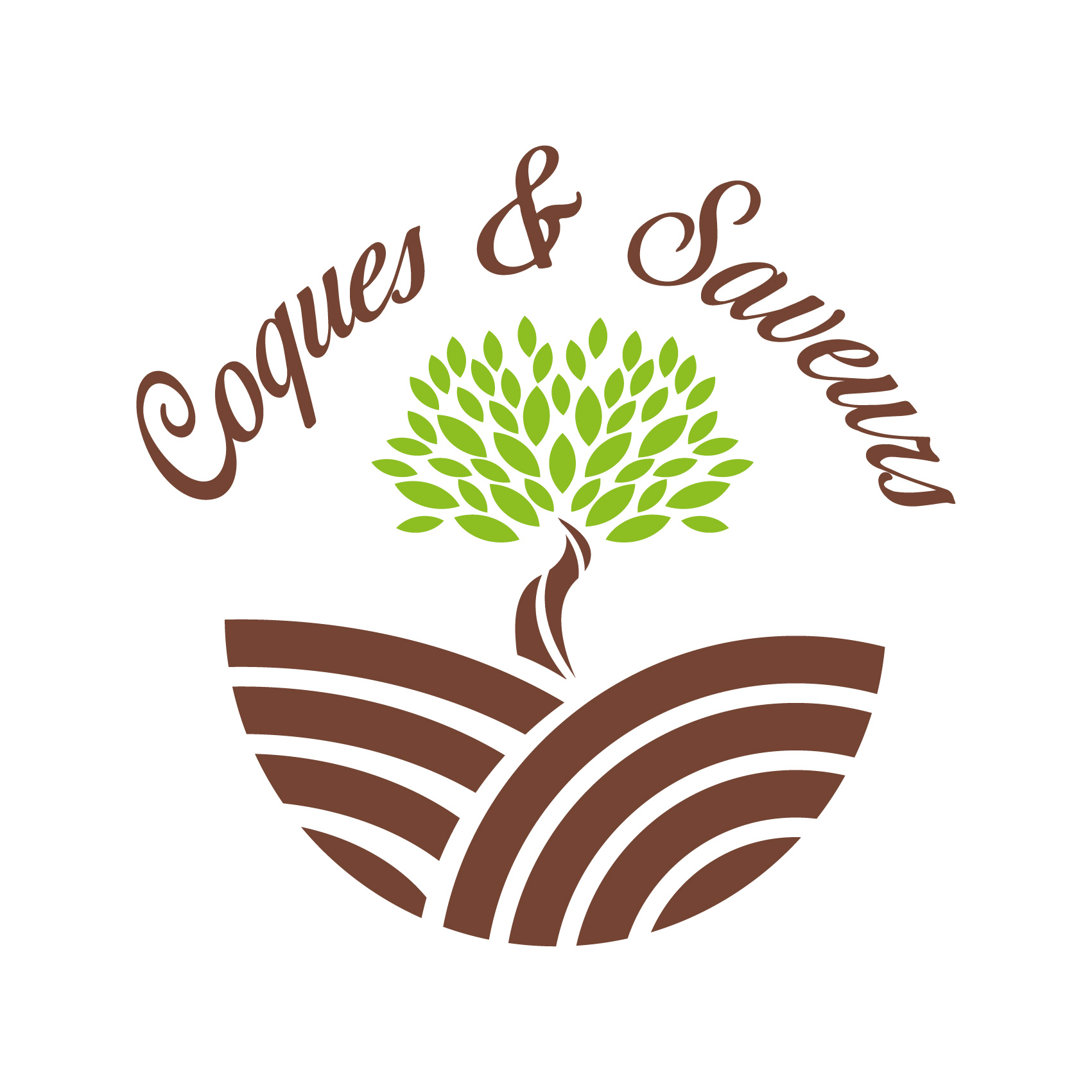 Logo Coques et saveurs